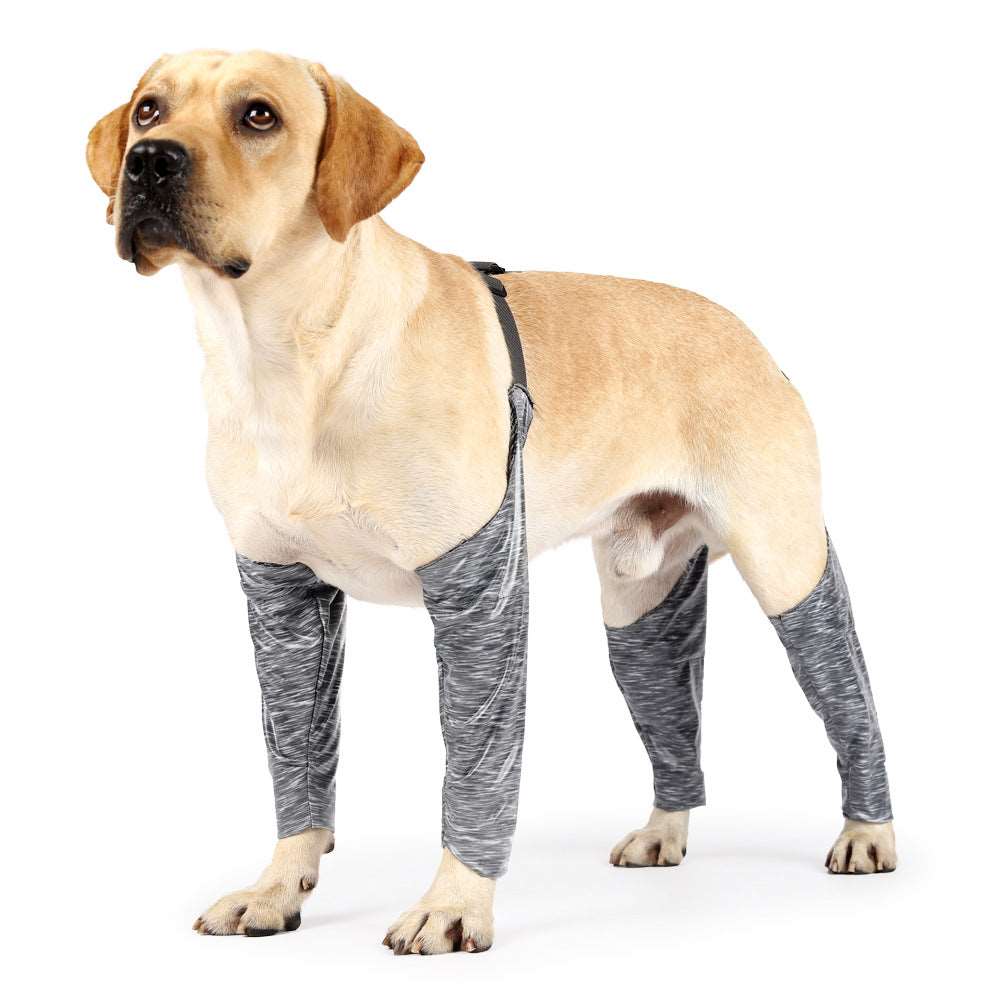 Outdoor Dog Leggings knee sleeves