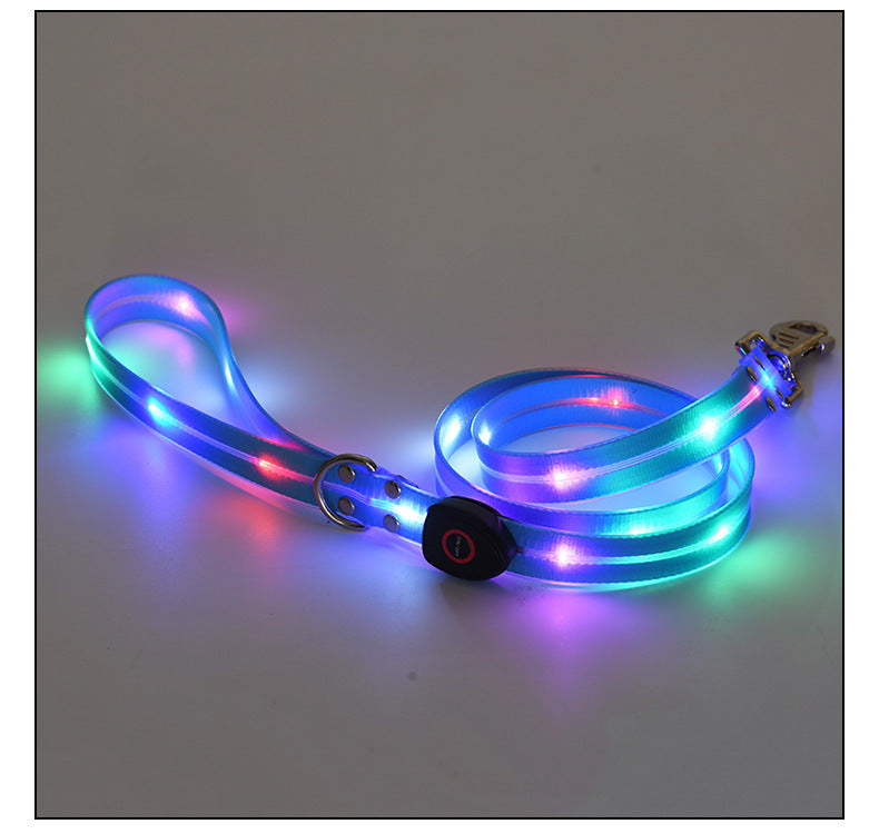 LED light up usb charging pet collar leash