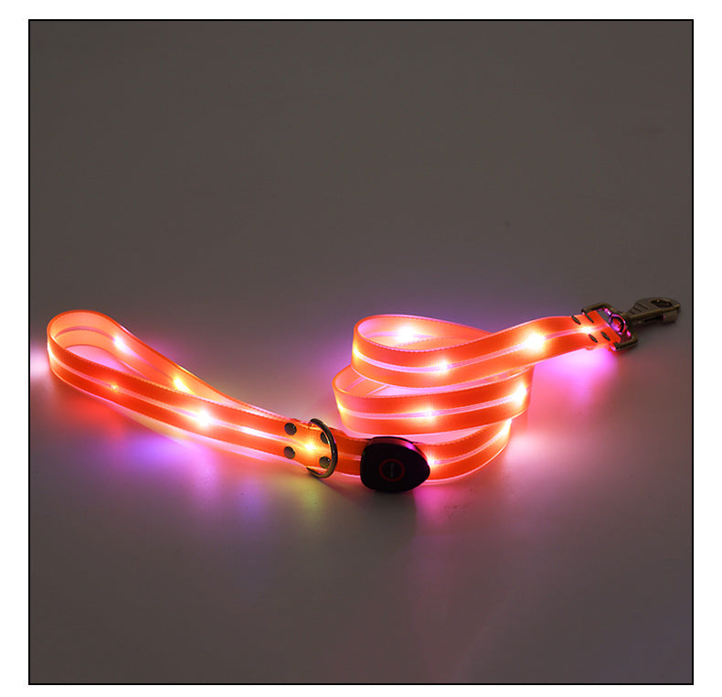 LED light up usb charging pet collar leash