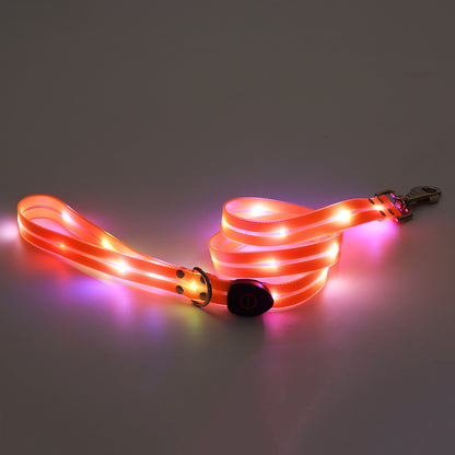 LED light up usb charging pet collar leash