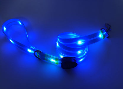 LED light up usb charging pet collar leash