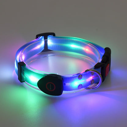 LED light up usb charging pet collar leash