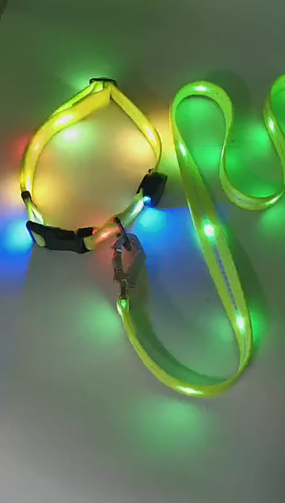 LED light up usb charging pet collar leash